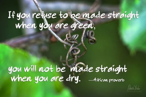 "If you refuse to be made straight when you are green, you will not be made straight when you are dry."  —African proverb