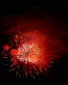 IMG_6838 fireworks.red_smw